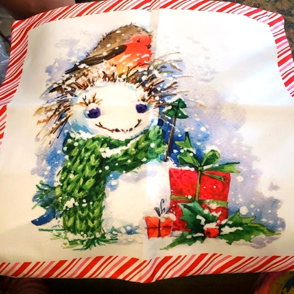 WhoMeaf Set of 4 Christmas Candy Cane Edged Pillowcases with a Robin Theme - Picture 4 of 8